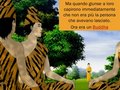 Diapositiva128